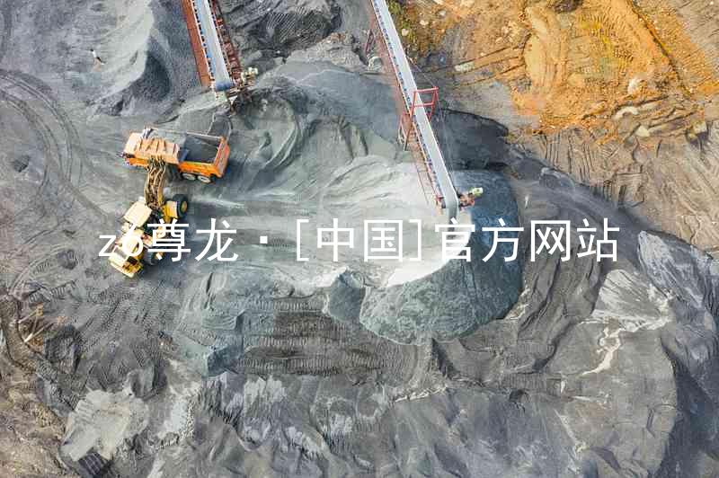 z6尊龙·[中国]官方网站