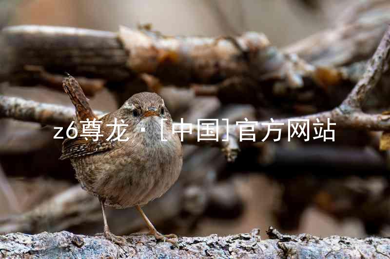z6尊龙·[中国]官方网站